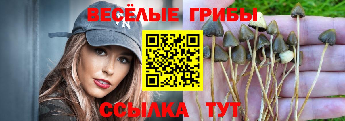 Псилоцибиновые грибы мицелий  дарнет шоп  Коломна  Вход с VPN 